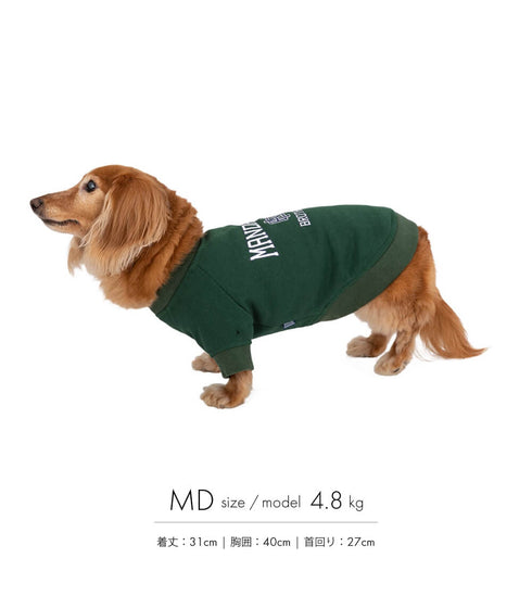 MANDARINE BROTHERS カレッジロゴスウェット/COLLEGE LOGO SWEAT